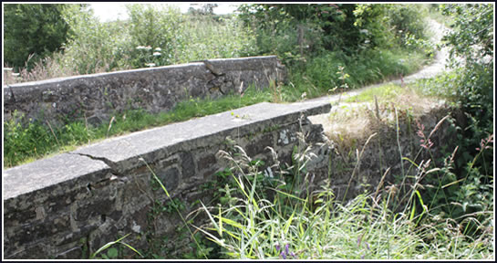 Devon Wildlife Trust Open Day