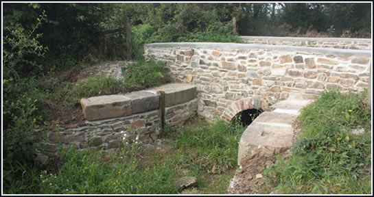 Devon Wildlife Trust Open Day